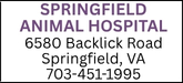 Springfield Animal Hospital Sponsorship Banner